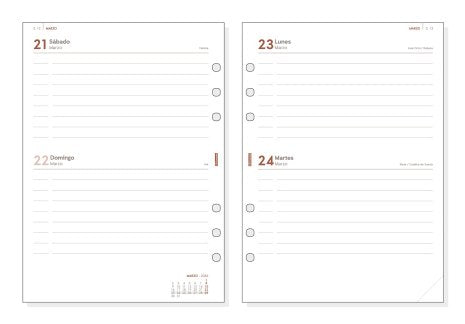 EAN 8422952401957 - Finocam 711610026 agenda Agenda diaria Naranja imagen 2