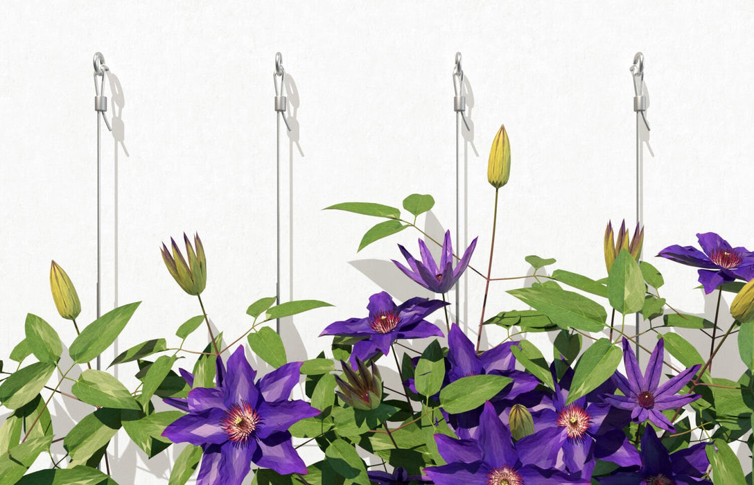 EAN 4006209504932 - Fischer 50493 tornillo de anclaje y taco 10 pieza(s) Anclaje de expansión 75 mm imagen 3