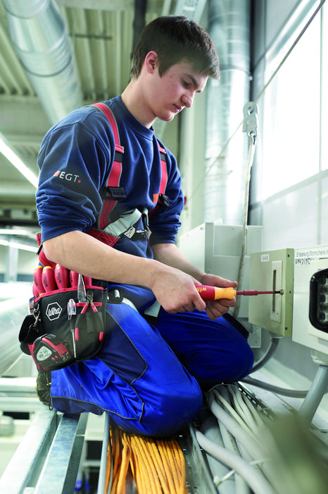 EAN 4010995412357 - Wiha 41235 destornillador manual Destornillador múltiple Destornillador plano imagen 4