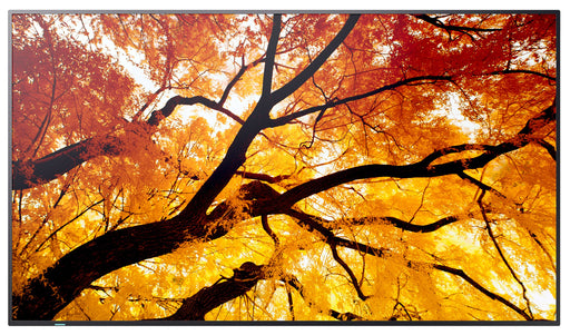 EAN 4550556130974 - Sharp MultiSync M552 Pantalla plana para señalización digital 139,7 cm (55") LCD 550 cd / m² 4K Ultra HD  imagen 2