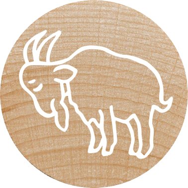 EAN 9004362534488 - Colop 165225 imagen 6