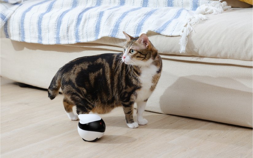 EAN 6972822120188 - Enabot EBO SE imagen 9