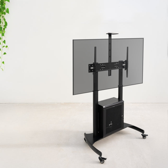 EAN 8433281014855 - TooQ Narnia 2,54 m (100") imagen 7