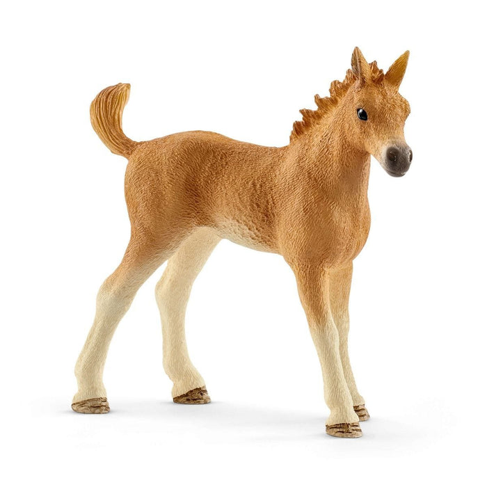 EAN 4055744021824 - schleich HORSE CLUB 42432 set de juguetes imagen 4