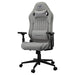 EAN 4710483779251 - COUGAR CGR-EPF-ROA Silla para videojuegos universal Gris imagen 1