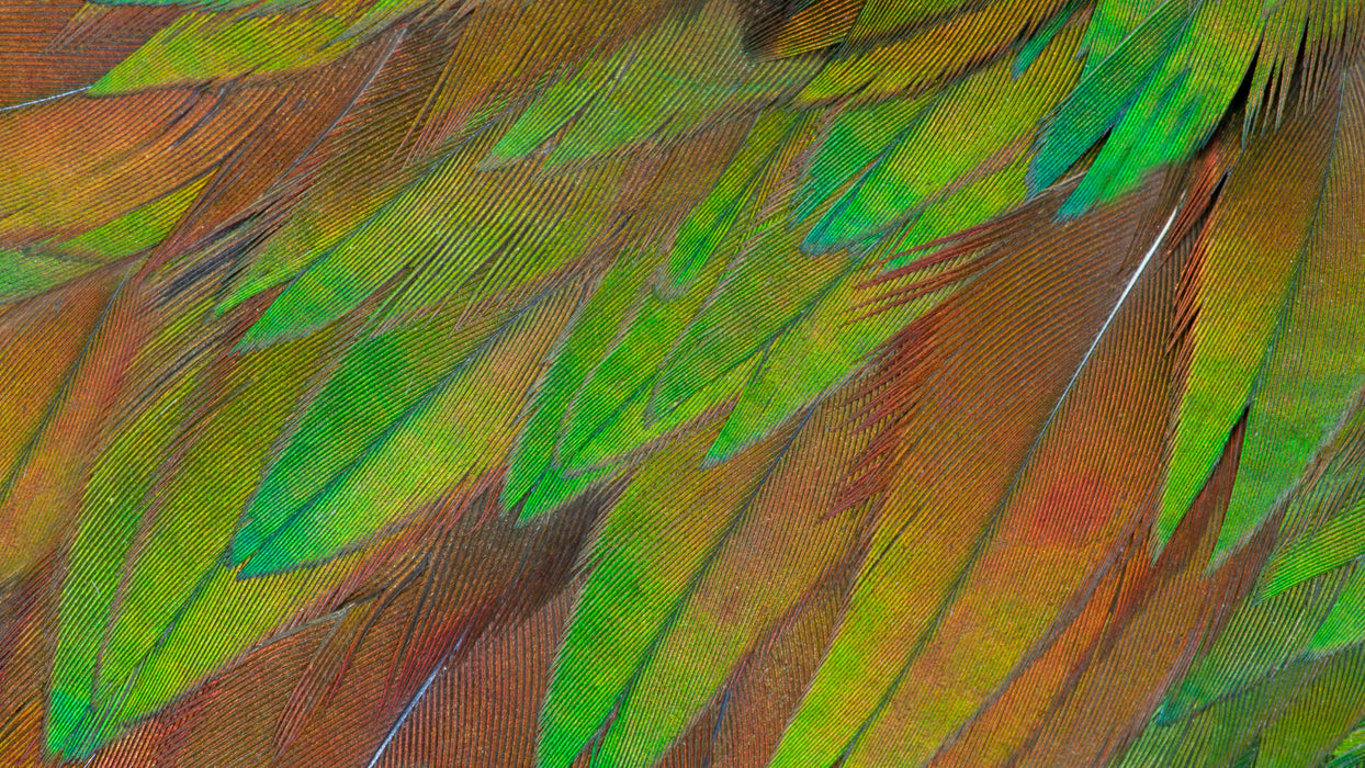 EAN 8721038001259 - Philips 3000 series 27B1U3900/00 pantalla para PC 68,6 cm (27") 3840 x 2160 Pixeles 4K Ultra HD LCD Negro imagen 12