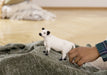 EAN 4059433578255 - schleich 13960 figura de juguete para niños imagen 2