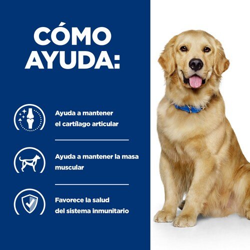 EAN 52742918303 - Hills 606275 alimento húmedo para perros Ternera Universal 12 kg imagen 3