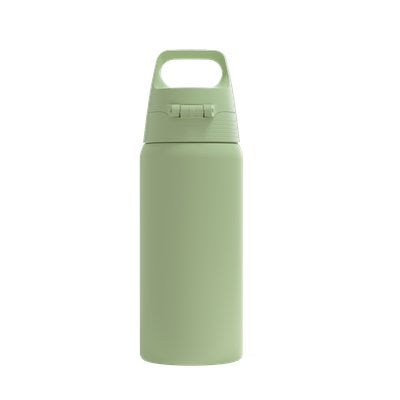 EAN 7630135602225 - SIGG 6022.20 bidón de agua Uso diario 500 ml Acero inoxidable Verde imagen 2