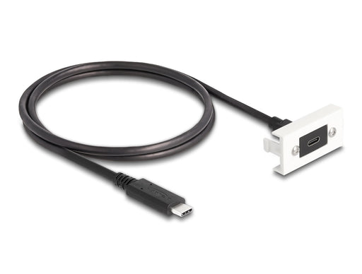 EAN 4043619813865 - DeLOCK 81386 cable USB USB 3.2 Gen 2 (3.1 Gen 2) 1 m USB C Negro imagen 1