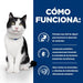 EAN 0052742043142 - Hills 605877 comida húmeda para gatos 3 kg imagen 4
