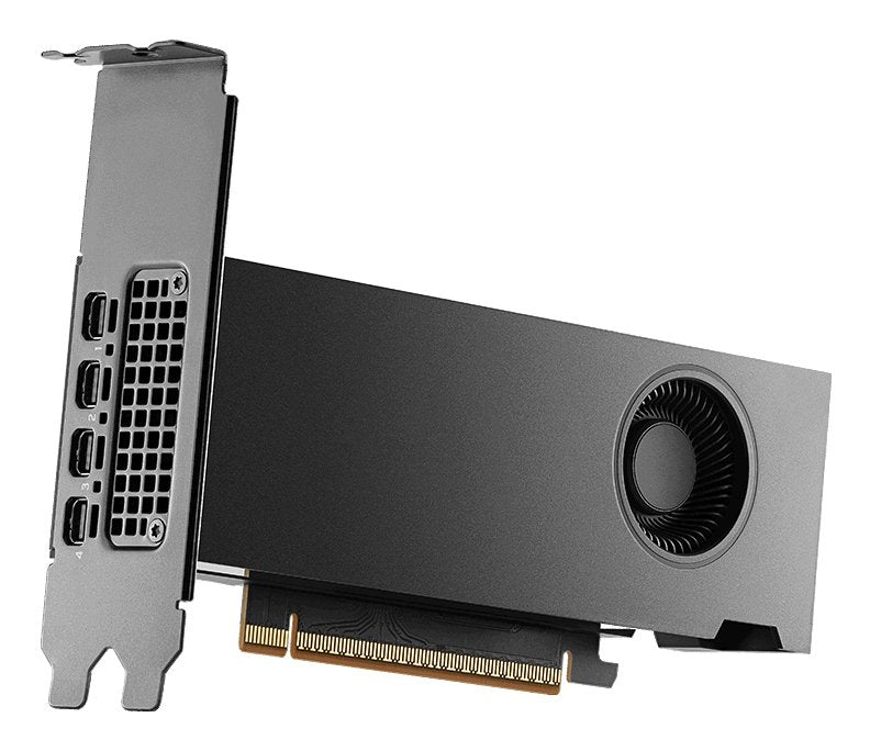 EAN 3536403404116 - PNY RTX PRO 2000 Blackwell NVIDIA 16 GB GDDR7 imagen 3