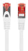 EAN 5901969442380 - Lanberg PCF6-10CU-0300-W cable de red Blanco 3 m Cat6 S/FTP (S-STP) imagen 2