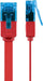 EAN 4040849963001 - Goobay 96300 cable de red Rojo 0,5 m Cat6 U/UTP (UTP) imagen 3