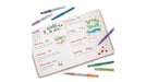 EAN 3501170977453 - Papermate Flair rotulador Medio Multicolor 16 pieza(s) imagen 9