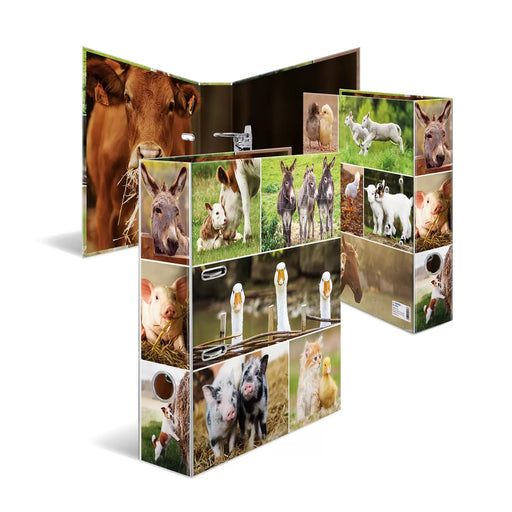 EAN 4008705192538 - HERMA 19253 carpeta de cartón A4 Multicolor imagen 1