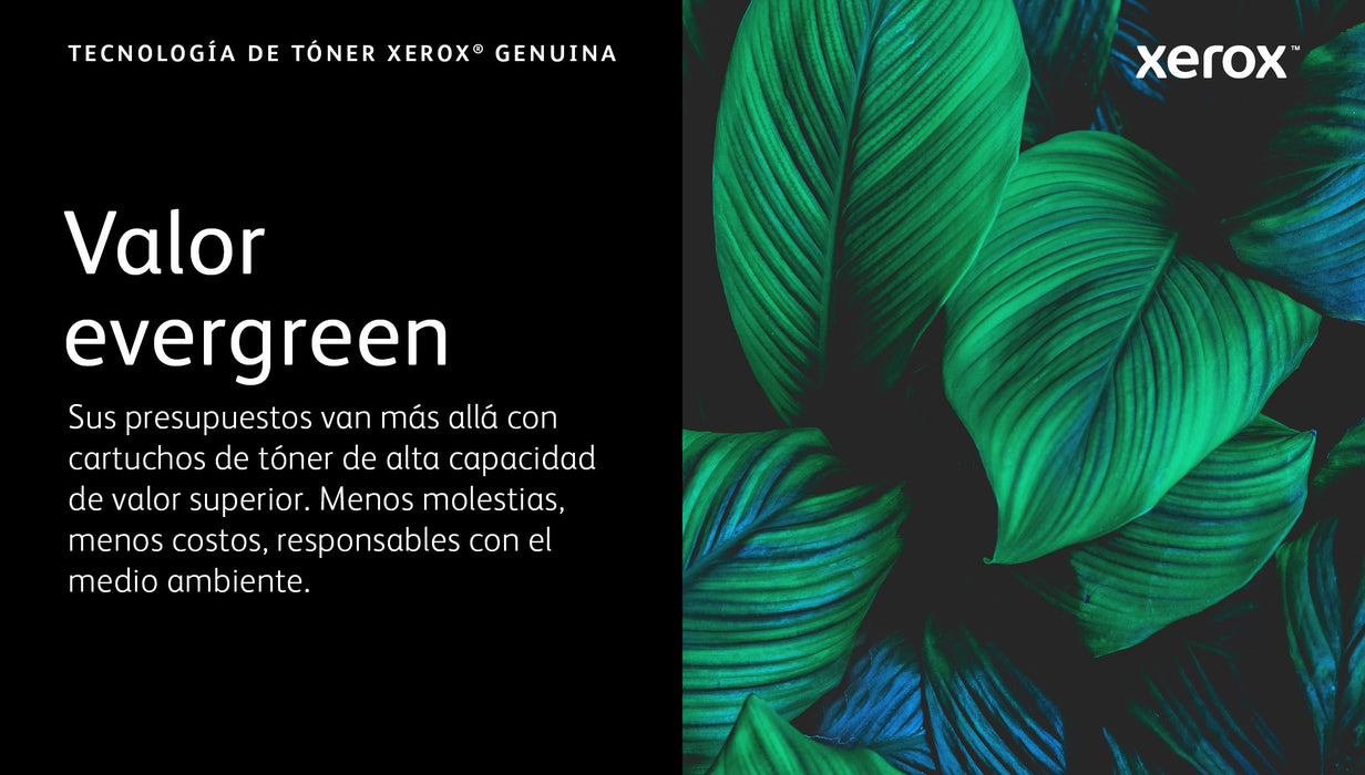 EAN 95205038590 - Xerox 006R04670 cartucho de tóner 1 pieza(s) Original imagen 7