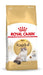 EAN 3182550825351 - Royal Canin Ragdoll Adult alimento seco para gatos 2 kg Adulto imagen 1
