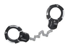 EAN 3520190214041 - MASTER LOCK 8290EURDPRO Negro 550 mm Candado de herradura imagen 1