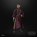EAN 5010996226105 - Star Wars The Black Series Padmé Amidala imagen 12
