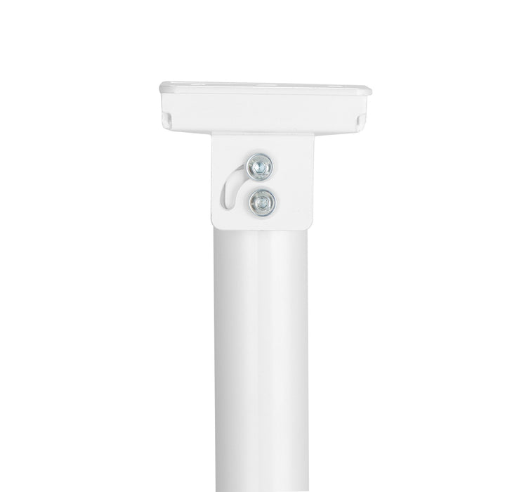 EAN 0766623462686 - Manhattan 462686 montaje para projector Techo Blanco imagen 8