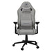 EAN 4710483779251 - COUGAR CGR-EPF-ROA Silla para videojuegos universal Gris imagen 2