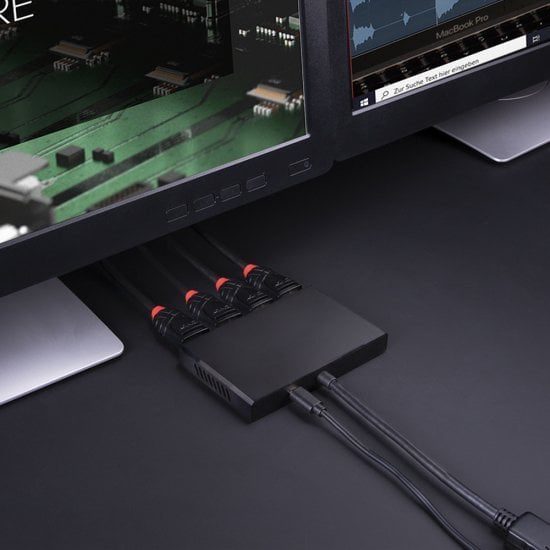 EAN 4002888384315 - Lindy 38431 hub de interfaz DisplayPort Negro imagen 5