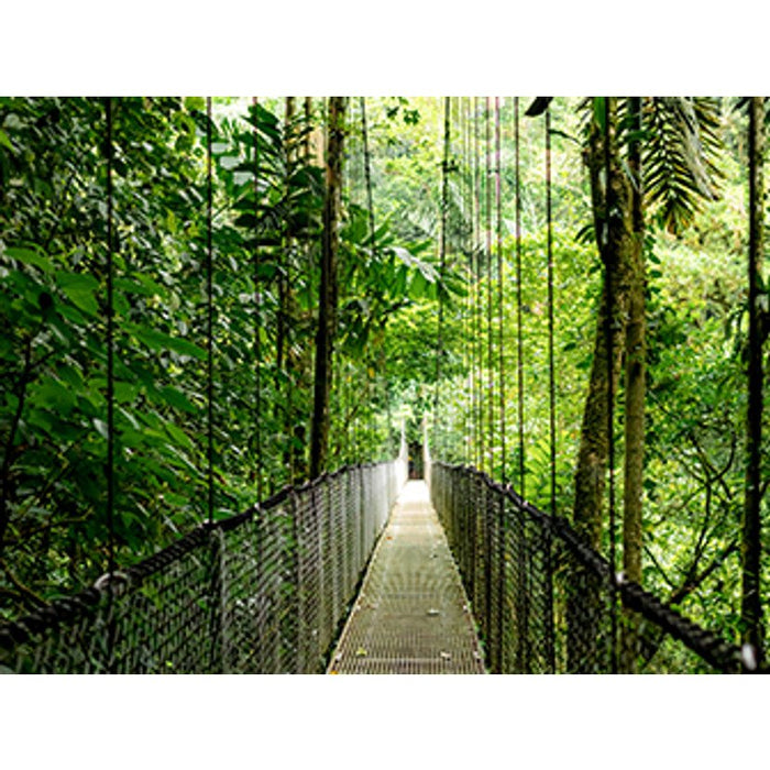 EAN 199764324627 - HP EliteBook 6 G1a 14 inch Notebook AI PC Wolf Pro Security Edition AMD Ryzen AI 7 250 35,6 cm (14") WUXGA imagen 12