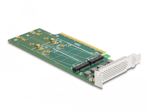 EAN 4043619900909 - DeLOCK 90090 tarjeta y adaptador de interfaz M.2, PCIe imagen 1
