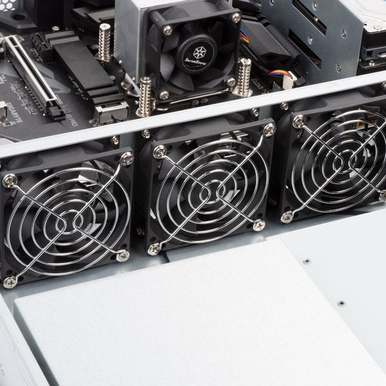 EAN 4710679811161 - Silverstone RM23-502 2,5/3,5/5,25" Bandeja para disco duro Negro, Plata imagen 10