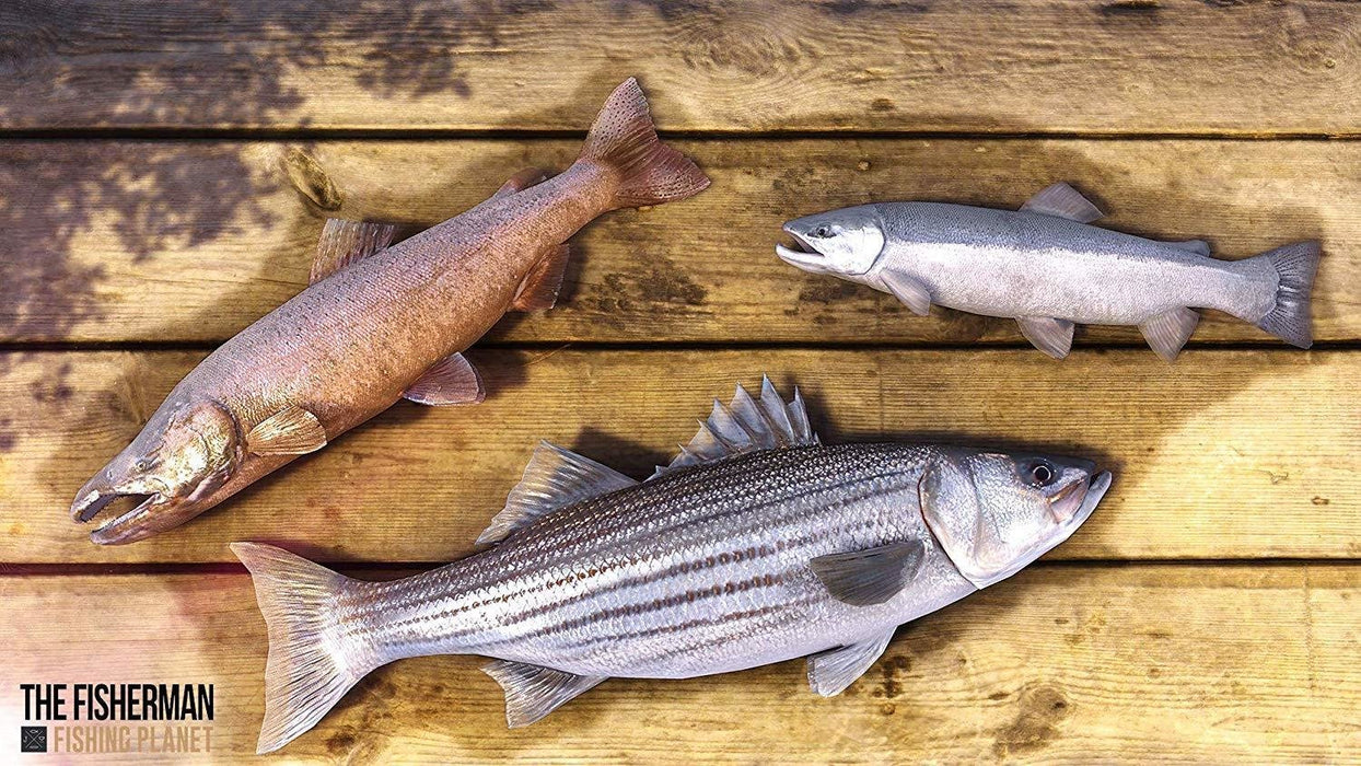 EAN 3499550379655 - Bigben Interactive The Fisherman : Fishing Planet - Day One Day One (Primer día) PlayStation 4 imagen 5