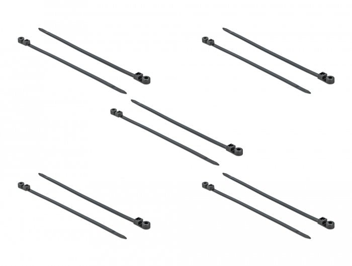 EAN 4043619189533 - DeLOCK 18953 presilla Brida de entrada paralela Poliamida Negro 10 pieza(s) imagen 1