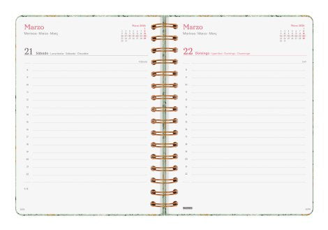 EAN 8422952405542 - Finocam 760063026 agenda Agenda semanal Verde, Multicolor imagen 5