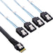 EAN 4043718288656 - InLine 27646B cable Serial Attached SCSI (SAS) 1 m 12 Gbit/s Negro imagen 1