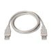 EAN 8436574700206 - AISENS A101-0021 cable USB USB 2.0 1 m USB A Beige imagen 2