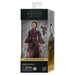 EAN 5010996226105 - Star Wars The Black Series Padmé Amidala imagen 8