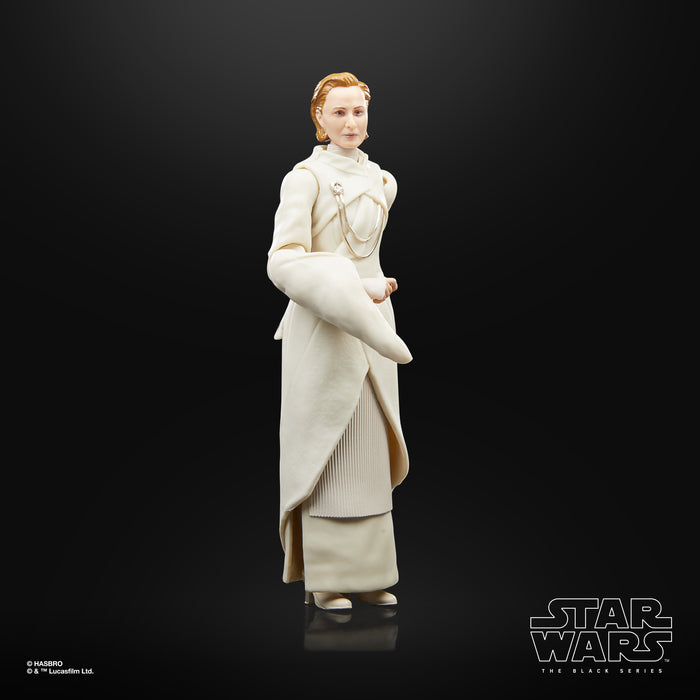 EAN 5010994179328 - Star Wars The Black Series F55305X0 toy figure imagen 6