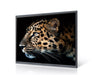 EAN 6927433604060 - MAXHUB C7530 pantalla de señalización Panel plano interactivo 190,5 cm (75") LED 350 cd / m² 4K Ultra HD  imagen 5