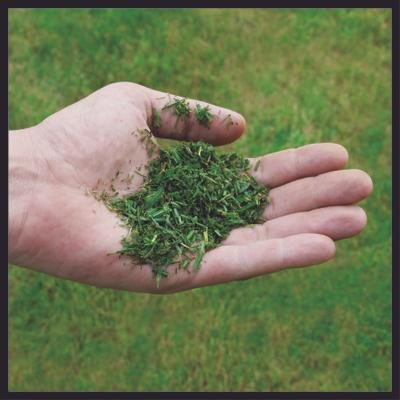 EAN 4006825660654 - Einhell Akku-Rasenmäher GE-CM 36/48 Li M-| Solo Cortacésped manual Batería Negro, Rojo imagen 5