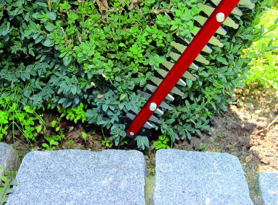 EAN 4006825616163 - Einhell GE-EH 6560 Cuchilla doble 650 W 3,67 kg imagen 4