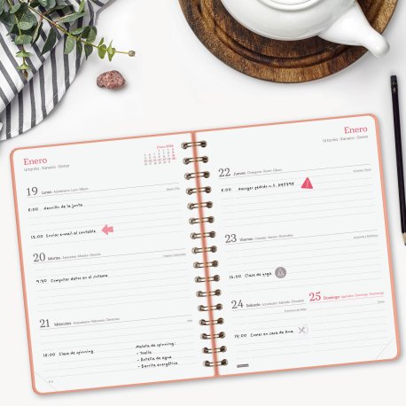 EAN 8422952405313 - Finocam 762020526 agenda Agenda diaria Coral imagen 3