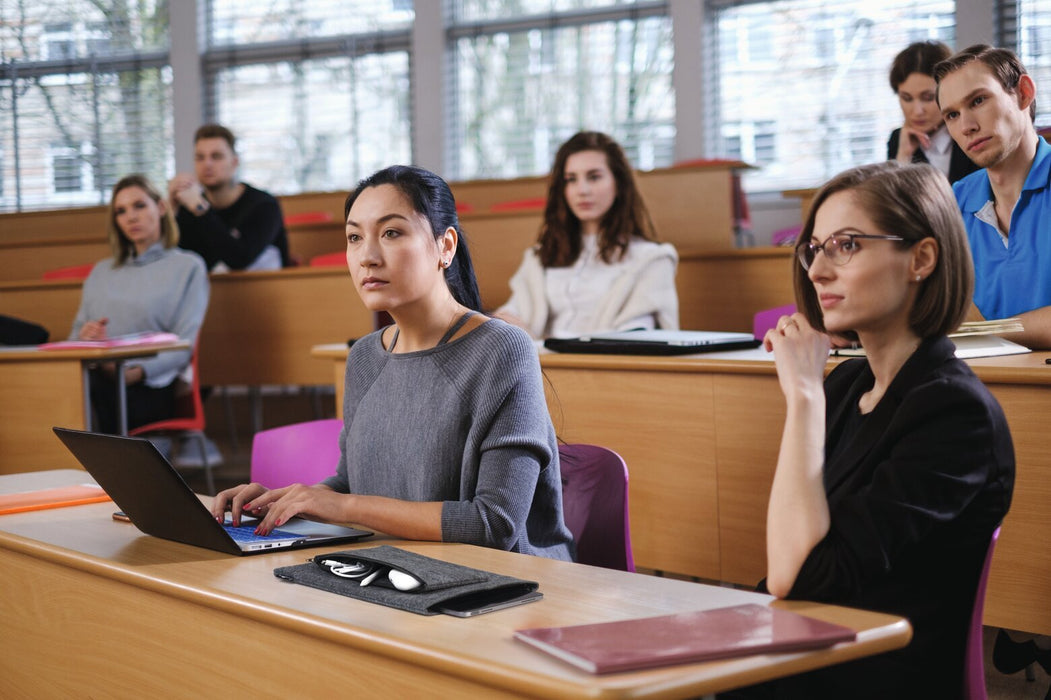 EAN 4005546741666 - Durable Effect 33 cm (13") Funda Antracita imagen 10