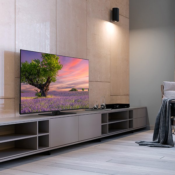 EAN 5025232965175 - Panasonic TB-65W60AEZ Televisor 165,1 cm (65") 4K Ultra HD Smart TV Wifi Negro imagen 10