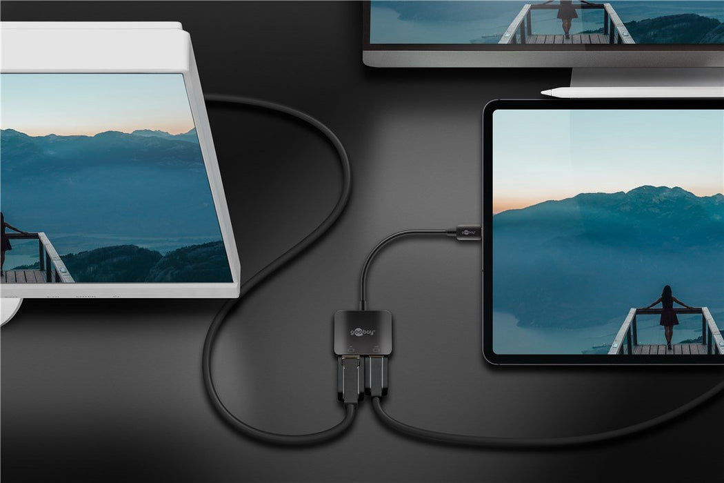 EAN 4040849601729 - Goobay 60172 Adaptador gráfico USB Negro imagen 5