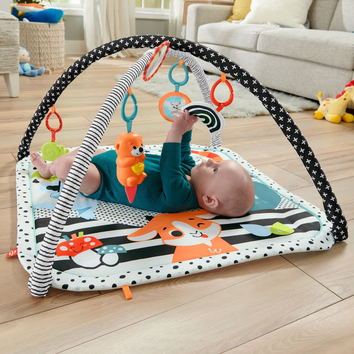 EAN 0194735000319 - Fisher-Price HBP41 gimnasio para bebé y tapete de juego Tela, Plástico Multicolor Gimnasio para bebés imagen 4