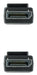 EAN 8433281015050 - Nanocable 10.15.2603 cable DisplayPort imagen 2