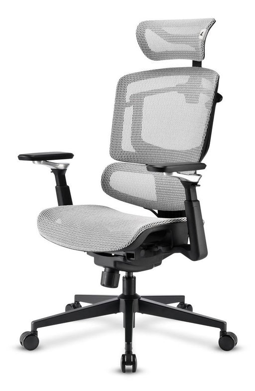 EAN 4044951045051 - Sharkoon OfficePal C50M Asiento acolchado Respaldo de rejilla imagen 1