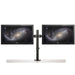 EAN 0065030884150 - StarTech.com ARMDUAL2 soporte para monitor 81,3 cm (32") Escritorio Negro imagen 10