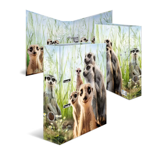 EAN 4008705200486 - HERMA 20048 carpeta de cartón A4 Multicolor imagen 1