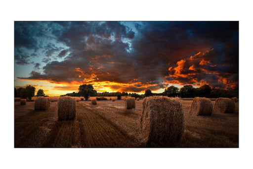 EAN 8806094366082 - Samsung VM46B-U LCD Interior imagen 1